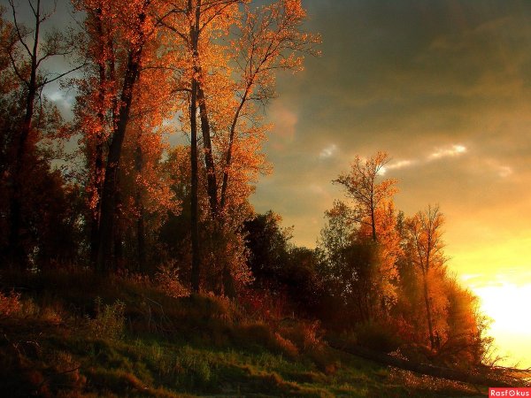 Осенний вечер Тютчев