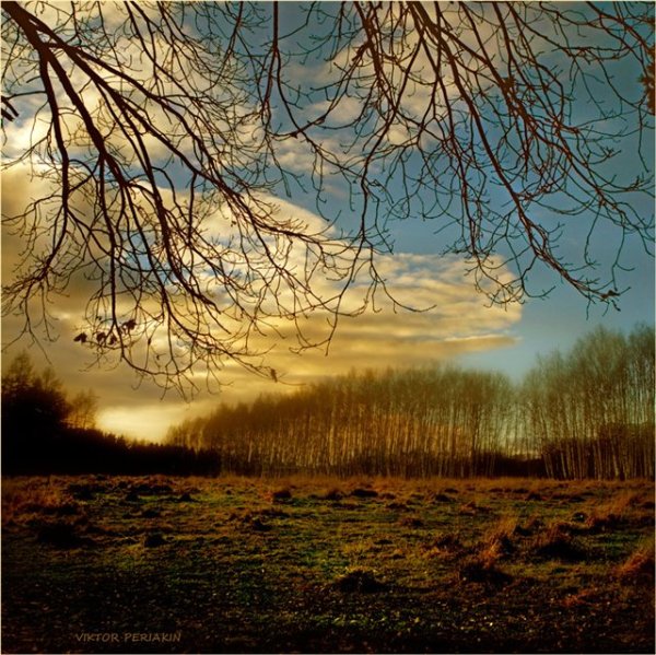 Ф.И. Тютчев "осенний ветер",