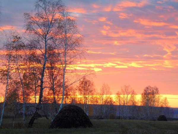 Тютчев рассвет