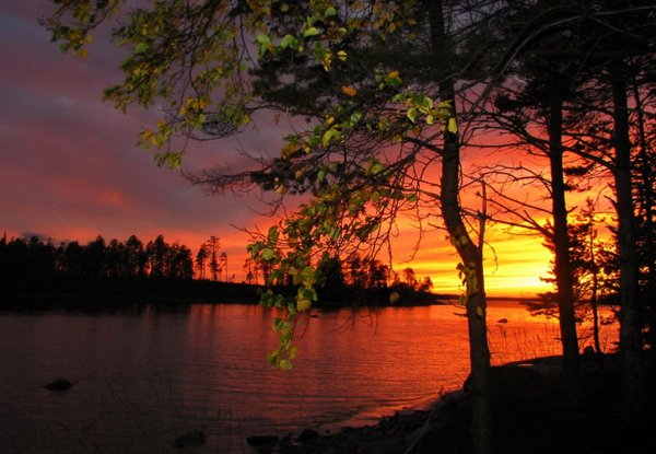 Осенний закат в лесу