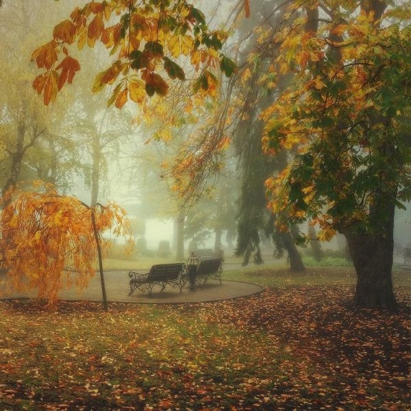 Унылый осенний пейзаж