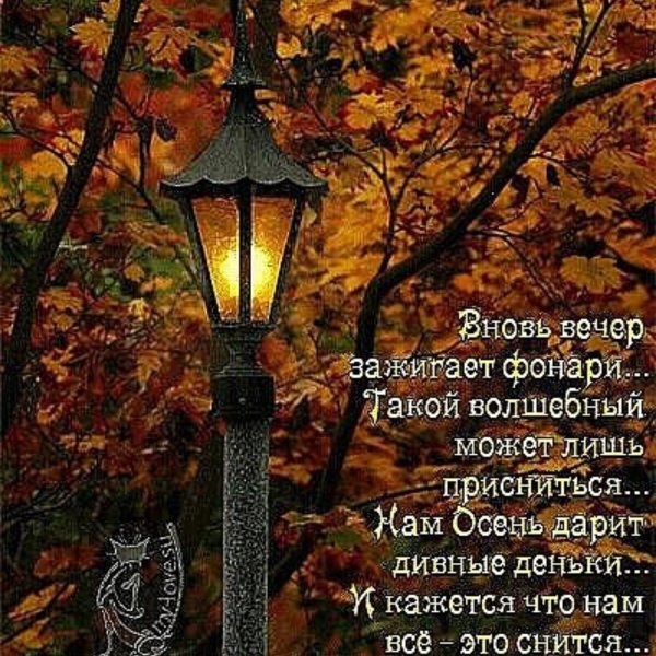 Красивые стихи о добром вечере