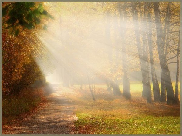 Лучезарный осенний вечер