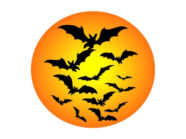 Летучие мыши на Хэллоуин