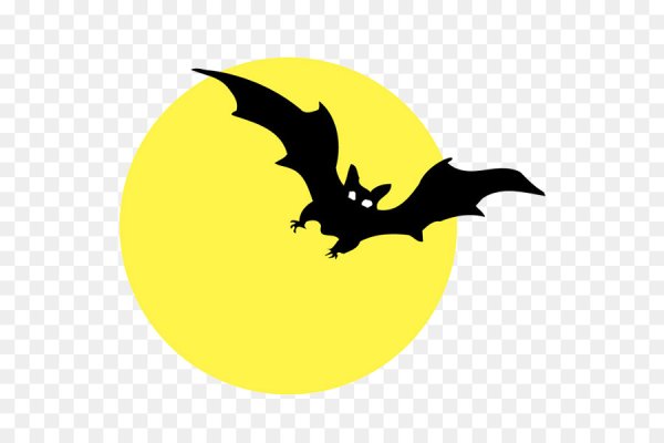 Летучая мышь и Луна рисунок