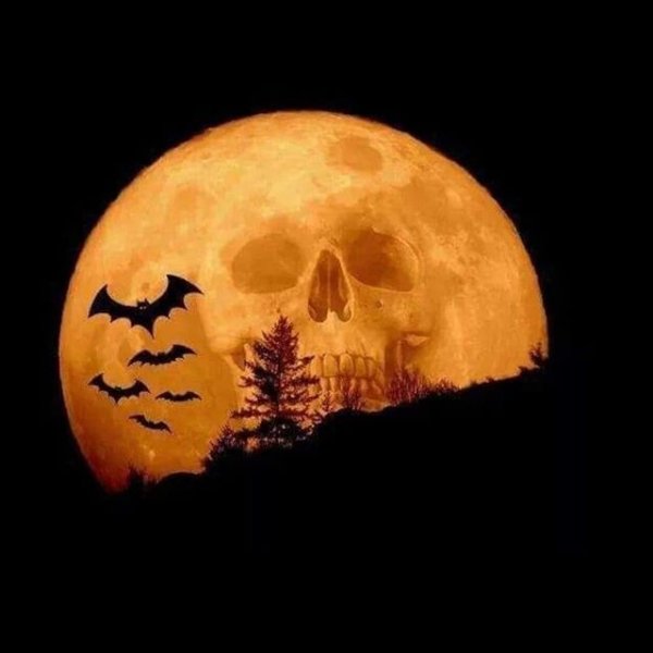 Луна череп