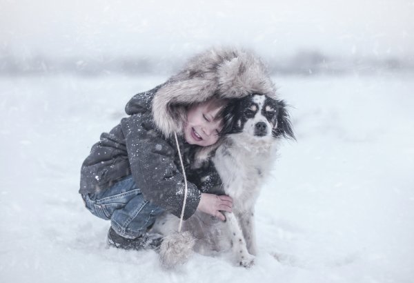 Дети и животные зима