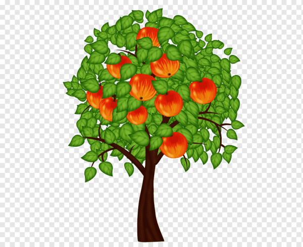 Яблоневое дерево для детей