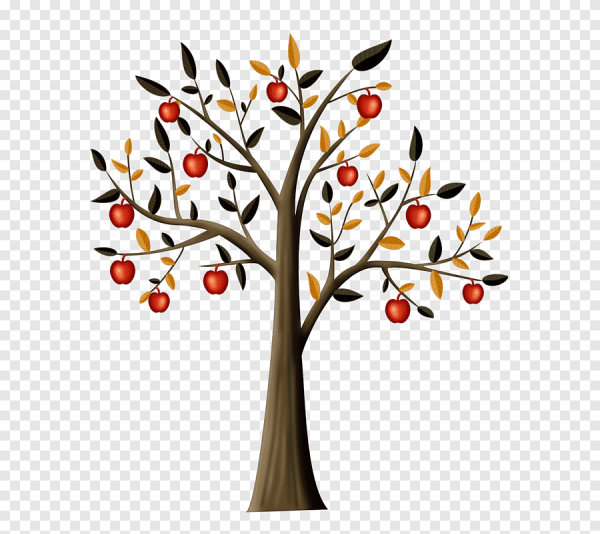 Сенне дерево с яблоками