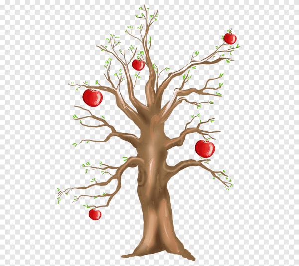 Яблоня с яблоками без листьев