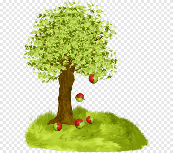 Яблоня без яблок