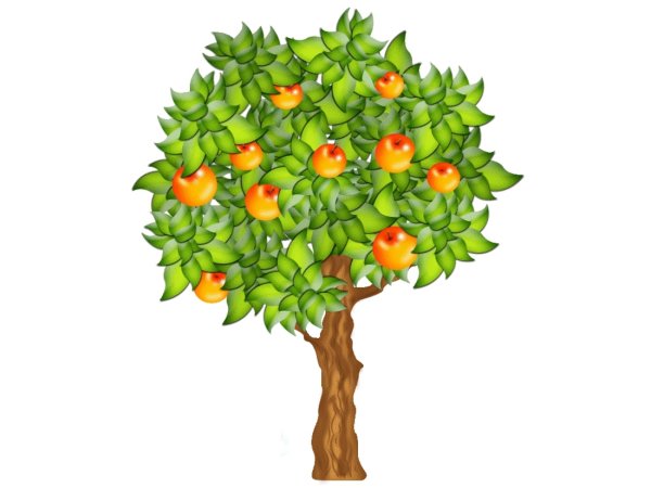 Яблоня без фона