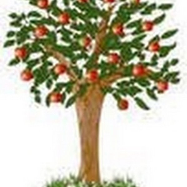 Яблоневое дерево для дошкольников