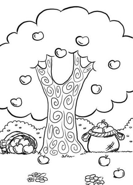 Раскраска яблоня с яблоками