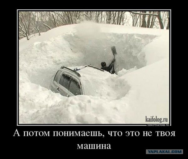Приколы про снегопад