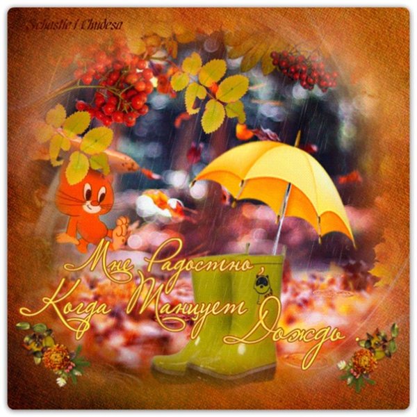 Хорошего настроения в дождливую осеннюю погоду