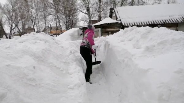 Снегом замело в Алтайском крае 2020