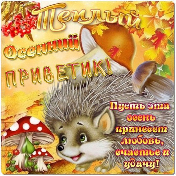 Открытки осенний привет