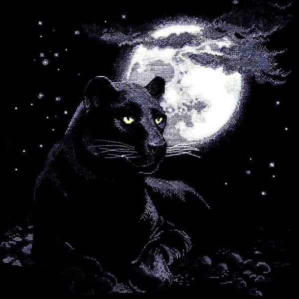 Пантера Луна