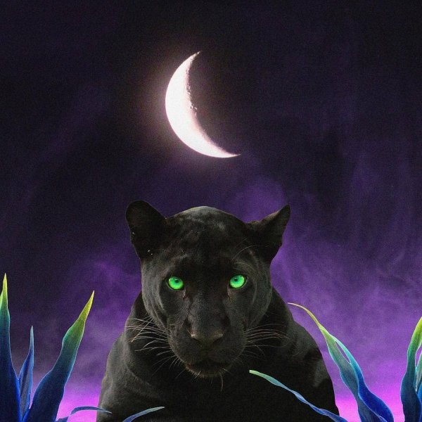 Фиолетовая пантера