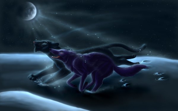 Пантера и волк