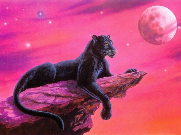 Пантера Багира тотемное животное