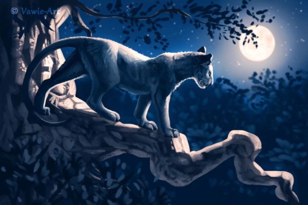 Черная пантера на ветке дерева