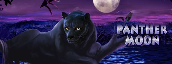 Луна пантера черная