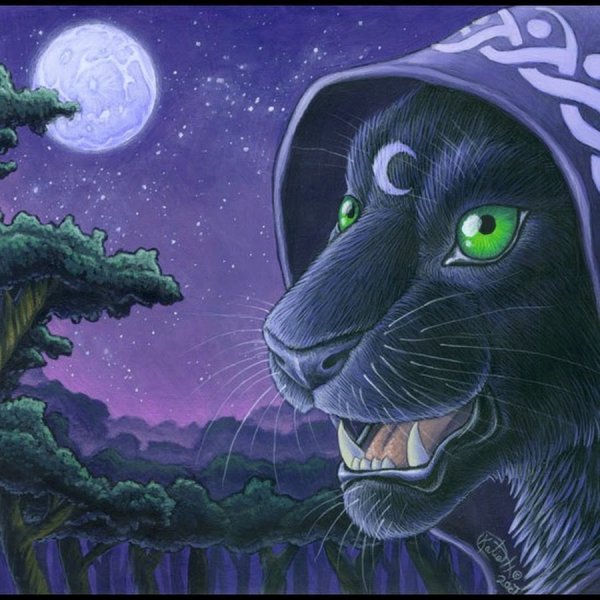 Элурантроп пантера