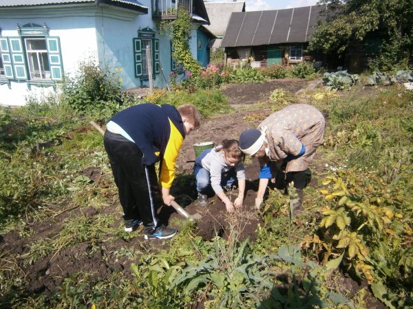 Уборка огорода