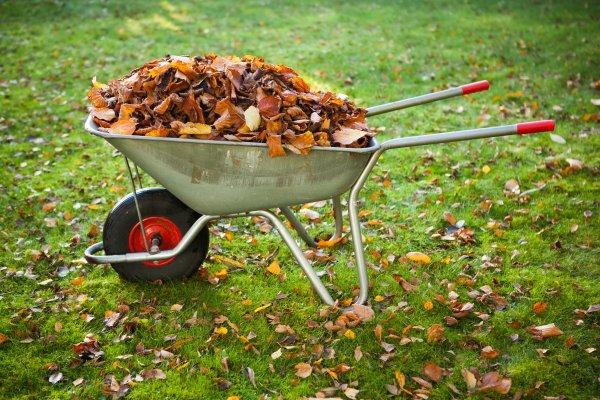 Осенние работы