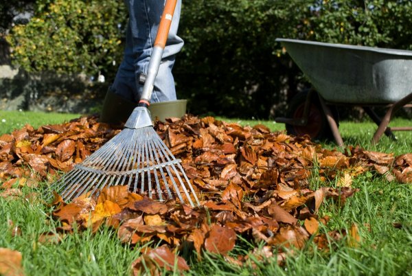 Уборка территории