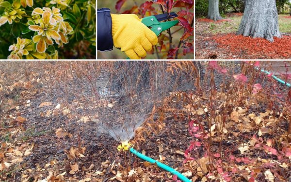 Подготовка участка к зиме