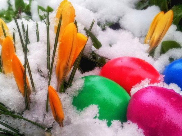 Из снега к Пасхе