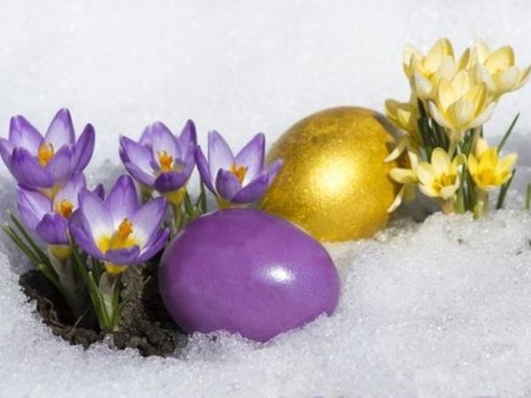 Пасхальные яйца на снегу