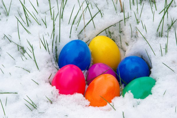 Пасха яйца снег