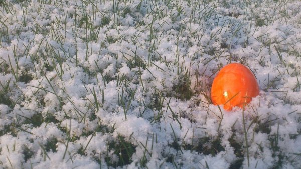 Яйца в снегу