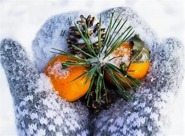 Мандаринка зимой