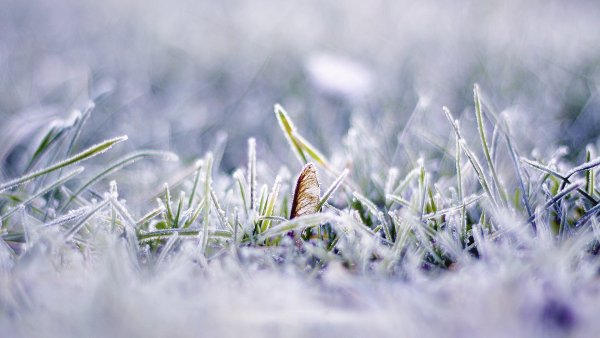 Ранняя Весна