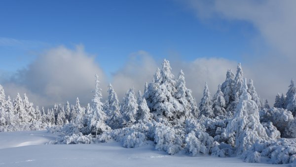 Морозная зима