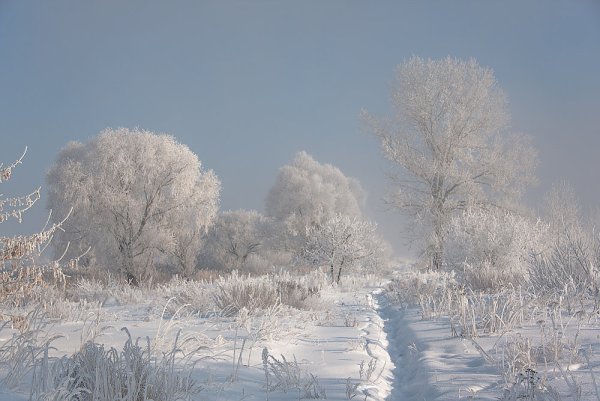 Морозный день