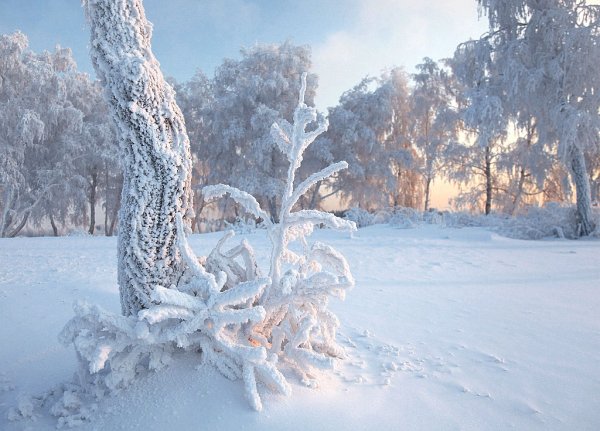 Мороз трескучий