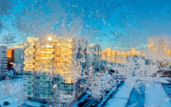 Зимний город