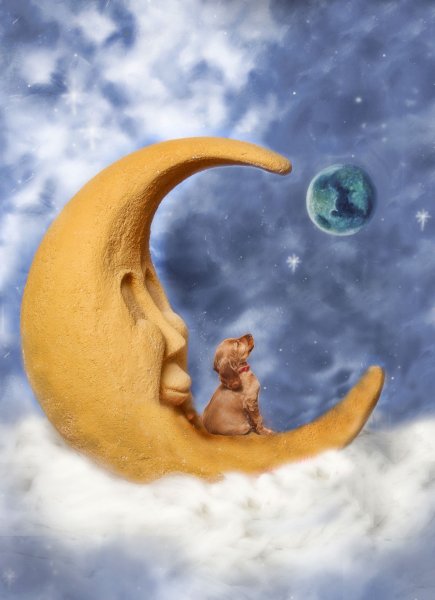 Весёлая Луна