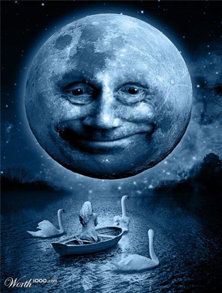 Полная Луна юмор