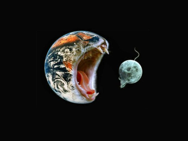 Обитатели космоса