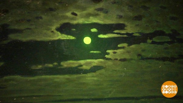 Куинджи картины