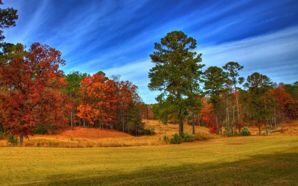 Осенний лес
