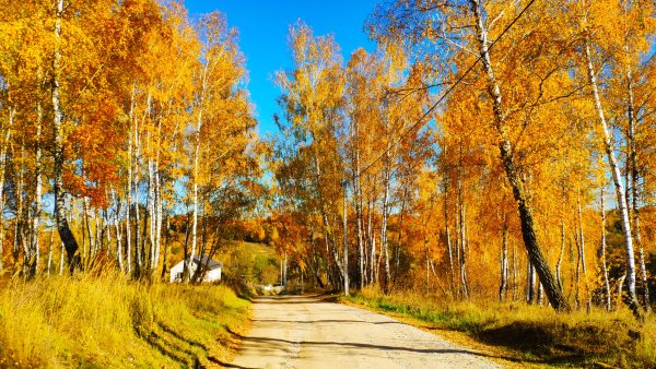 Пейзаж осени