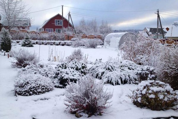 Садовый участок зимой